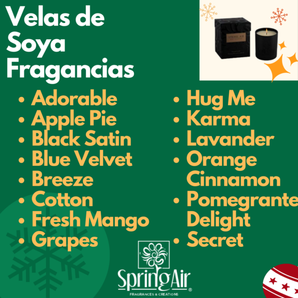 OFERTA NAVIDAD Pack 1 Varilla de Rattan 100ml + 1 Vela de Soya 230ml - Imagen 3